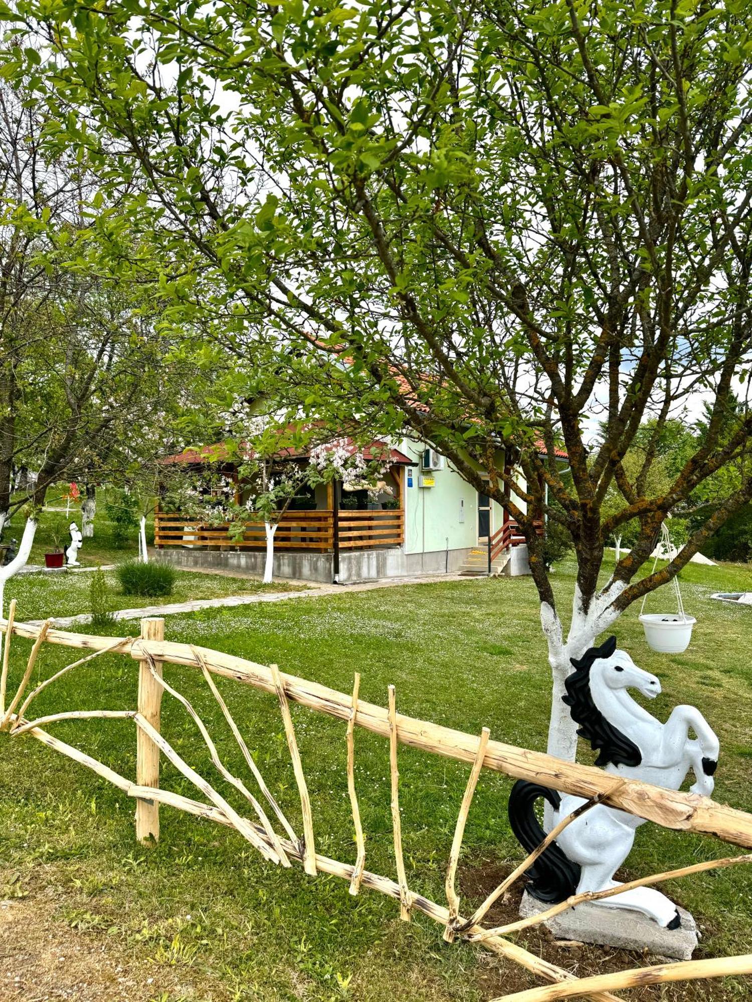 Apartment Valentina Brocanac Εξωτερικό φωτογραφία